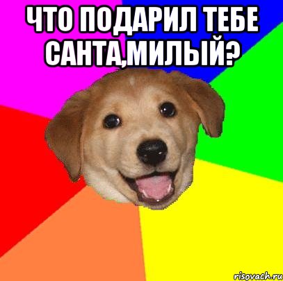 Что подарил тебе Санта,милый? , Мем Advice Dog