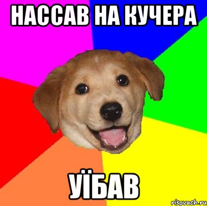 нассав на кучера уїбав, Мем Advice Dog