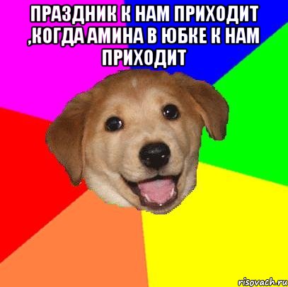 праздник к нам приходит ,когда амина в юбке к нам приходит , Мем Advice Dog