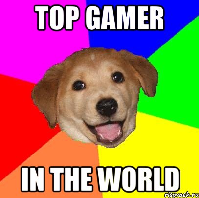 TOP GAMER IN THE WORLD, Мем Advice Dog