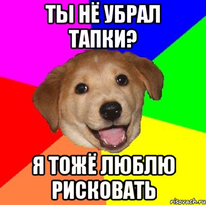 ты нё убрал тапки? я тожё люблю рисковать, Мем Advice Dog