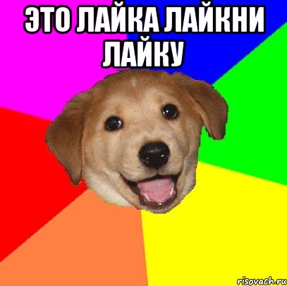 Это лайка лайкни лайку , Мем Advice Dog