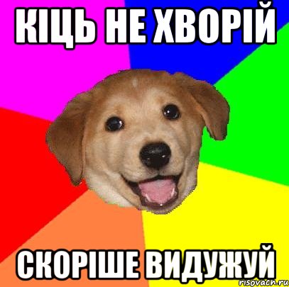 Кіць не хворій скоріше видужуй, Мем Advice Dog