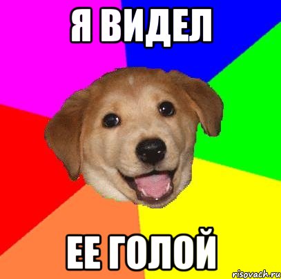 Я видел Ее голой, Мем Advice Dog