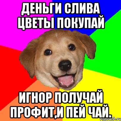 Деньги слива Цветы покупай Игнор получай Профит,и пей чай., Мем Advice Dog