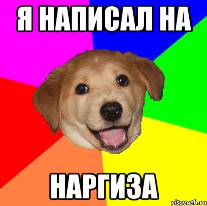 я написал на Наргиза, Мем Advice Dog