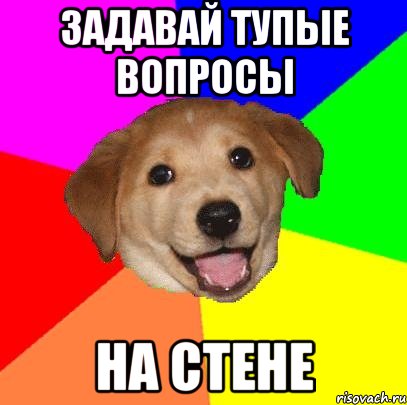 Задавай тупые вопросы на стене, Мем Advice Dog