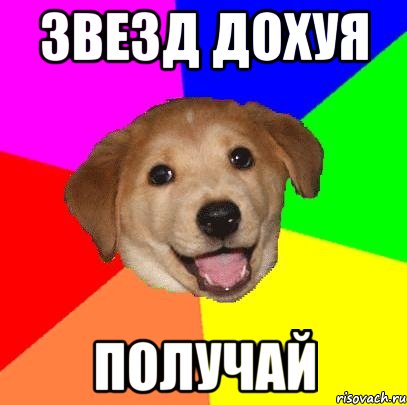 ЗВЕЗД ДОХУЯ ПОЛУЧАЙ, Мем Advice Dog