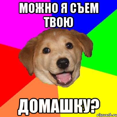 Можно я съем твою домашку?, Мем Advice Dog