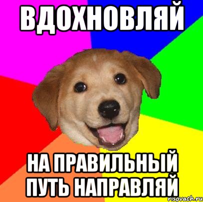 вдохновляй на правильный путь направляй, Мем Advice Dog