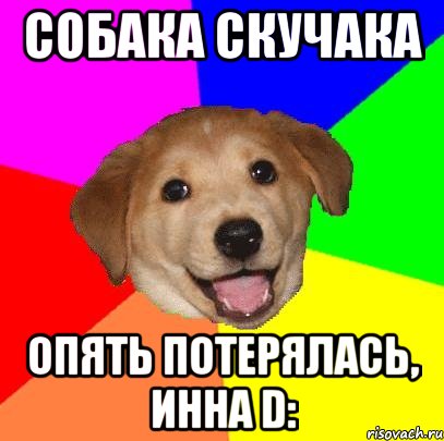 Собака скучака Опять потерялась, Инна D:, Мем Advice Dog