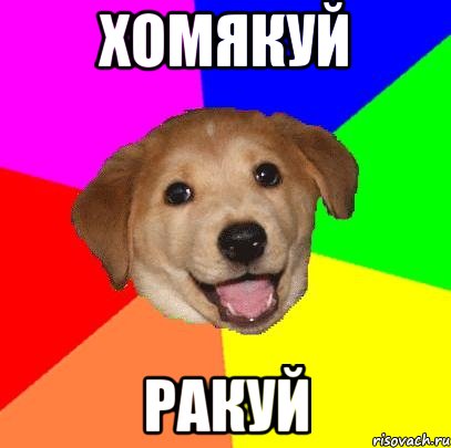 ХОМЯКУЙ РАКУЙ, Мем Advice Dog