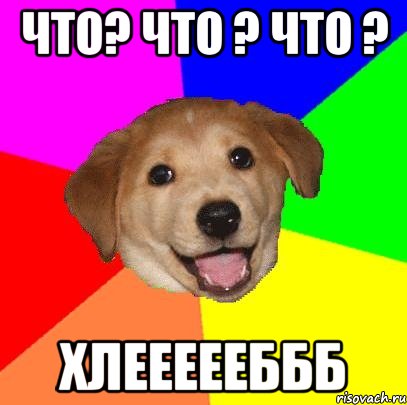 что? что ? что ? ХЛЕЕЕЕЕБББ, Мем Advice Dog