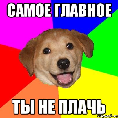 САМОЕ ГЛАВНОЕ ТЫ НЕ ПЛАЧЬ, Мем Advice Dog