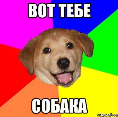 вот тебе собака, Мем Advice Dog