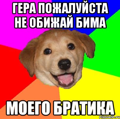 гера пожалуйста не обижай бима моего братика, Мем Advice Dog