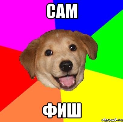 Сам фиш, Мем Advice Dog