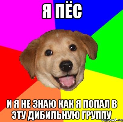 я пёс и я не знаю как я попал в эту дибильную группу, Мем Advice Dog