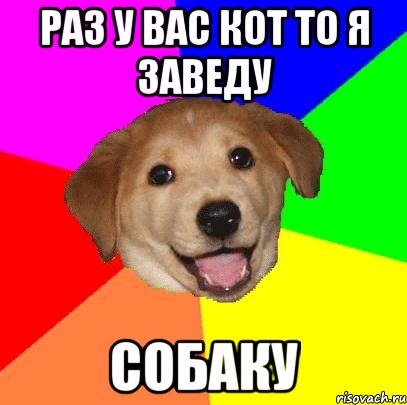 раз у вас кот то я заведу собаку, Мем Advice Dog