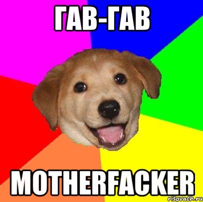 ГАВ-ГАВ MOTHERFACKER, Мем Advice Dog