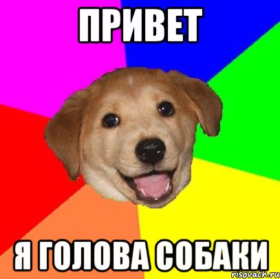 привет я голова собаки, Мем Advice Dog