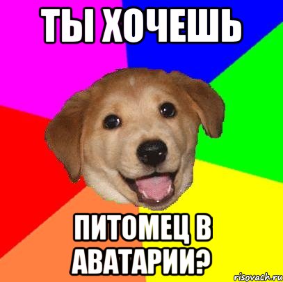 ты хочешь питомец в аватарии?, Мем Advice Dog