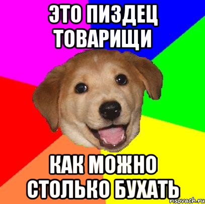 это пиздец товарищи как можно столько бухать, Мем Advice Dog