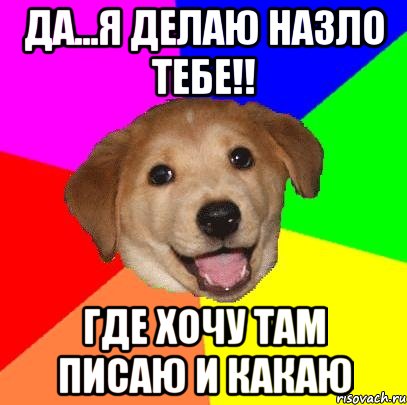 да...я делаю назло тебе!! где хочу там писаю и какаю, Мем Advice Dog