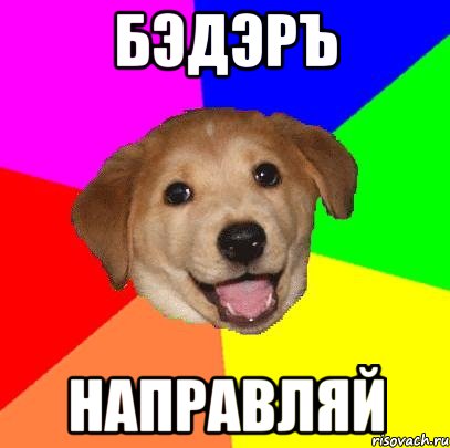 БэДэРЪ НАПРАВЛЯЙ, Мем Advice Dog