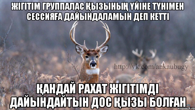 жігітім группалас қызының үйіне түнімен сессияға дайындаламын деп кетті қандай рахат жігітімді дайындайтын дос қызы болған