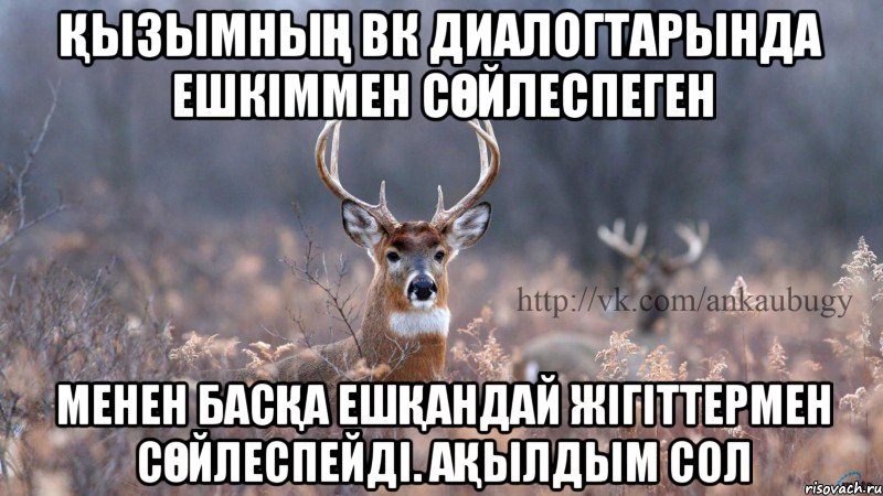 қызымның вк диалогтарында ешкіммен сөйлеспеген менен басқа ешқандай жігіттермен сөйлеспейді. Ақылдым сол