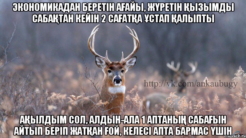 экономикадан беретін ағайы, жүретін қызымды сабақтан кейін 2 сағатқа ұстап қалыпты ақылдым сол, алдын-ала 1 аптаның сабағын айтып беріп жатқан ғой, келесі апта бармас үшін