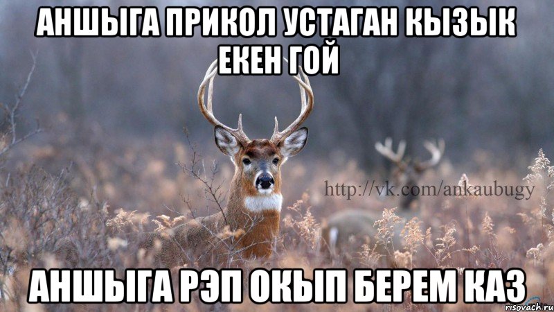аншыга прикол устаган кызык екен гой аншыга рэп окып берем каз