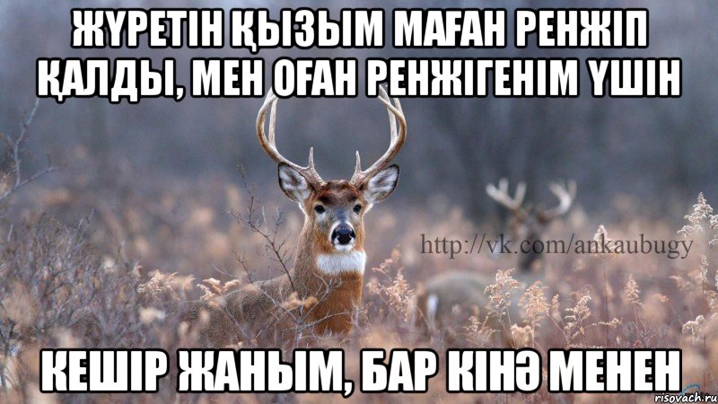 жүретін қызым маған ренжіп қалды, мен оған ренжігенім үшін кешір жаным, бар кінә менен