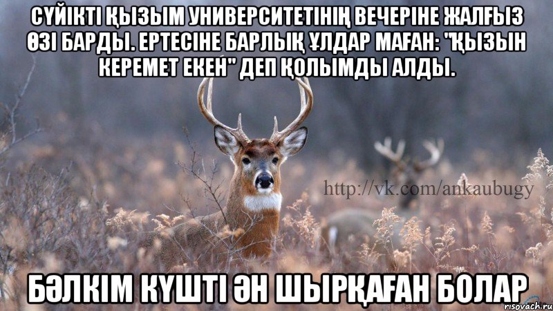 сүйікті қызым университетінің вечеріне жалғыз өзі барды. ертесіне барлық ұлдар маған: "Қызын керемет екен" деп қолымды алды. бәлкім күшті ән шырқаған болар