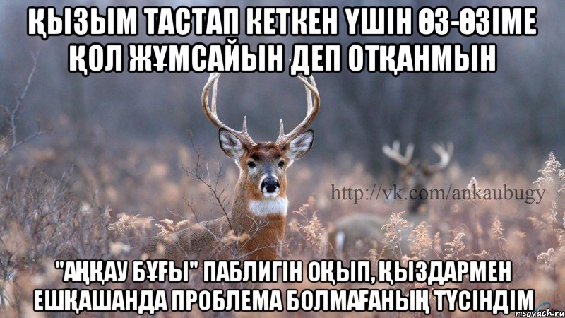 қызым тастап кеткен үшін өз-өзіме қол жұмсайын деп отқанмын "аңқау бұғы" паблигін оқып, қыздармен ешқашанда проблема болмағаның түсіндім