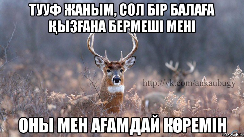 тууф жаным, сол бір балаға қызғана бермеші мені оны мен ағамдай көремін