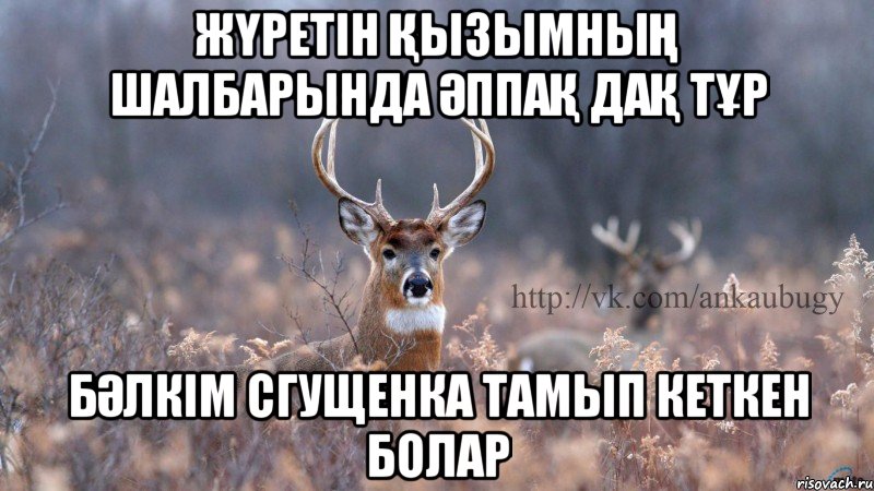 жүретін қызымның шалбарында әппақ дақ тұр бәлкім сгущенка тамып кеткен болар