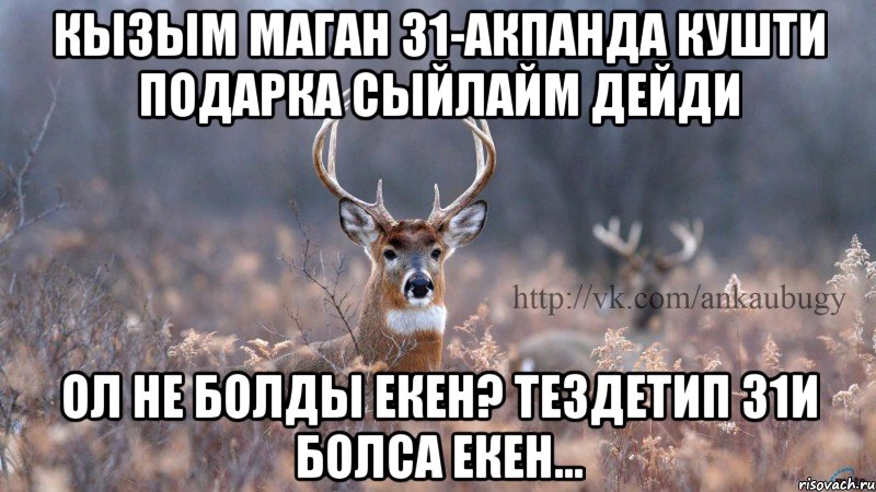 Кызым Маган 31-акпанда кушти подарка сыйлайм дейди Ол не болды екен? тездетип 31и болса екен...