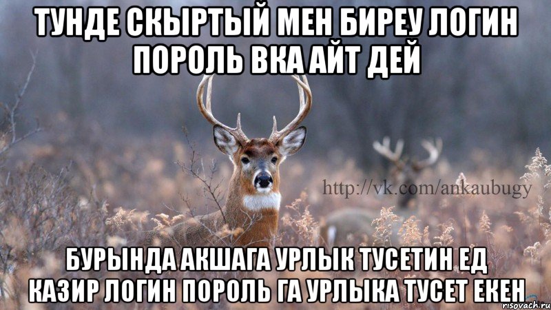 Тунде скыртый мен биреу логин пороль вка айт дей Бурында акшага урлык тусетин ед казир логин пороль га урлыка тусет екен