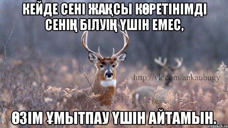 кейде сені жақсы көретінімді сенің білуің үшін емес, өзім ұмытпау үшін айтамын.