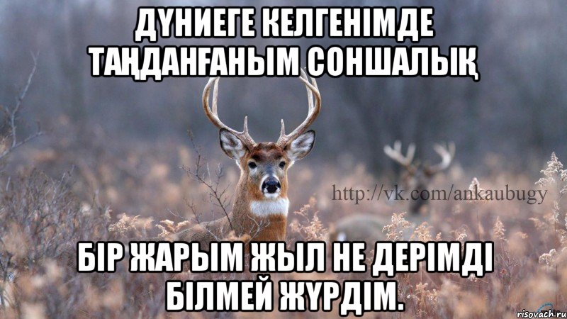 дүниеге келгенімде таңданғаным соншалық бір жарым жыл не дерімді білмей жүрдім.