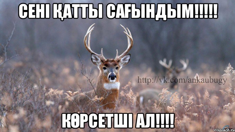 СЕНІ ҚАТТЫ САҒЫНДЫМ!!!!! КӨРСЕТШІ АЛ!!!!