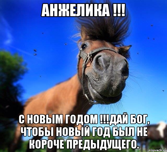 Анжелика !!! С Новым Годом !!!Дай Бог, чтобы Новый год был не короче предыдущего.