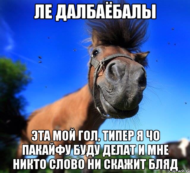 ле далбаёбалы эта мой гол, типер я чо пакайфу буду делат и мне никто слово ни скажит бляд