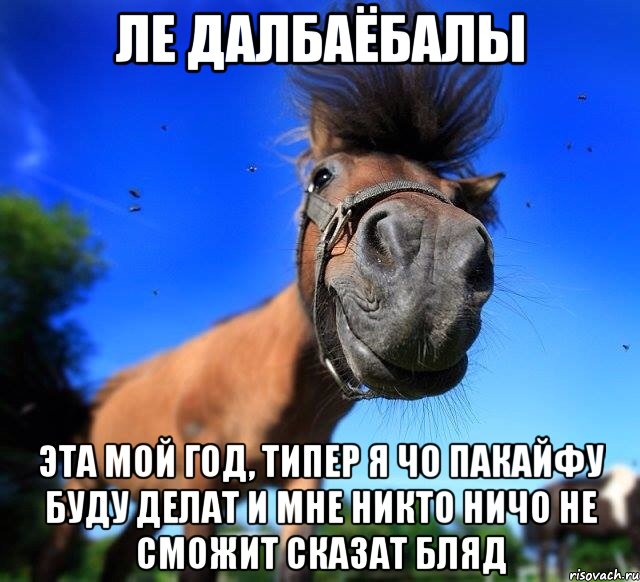 ле далбаёбалы эта мой год, типер я чо пакайфу буду делат и мне никто ничо не сможит сказат бляд