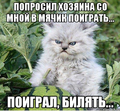 Попросил хозяина со мной в мячик поиграть... Поиграл, билять...