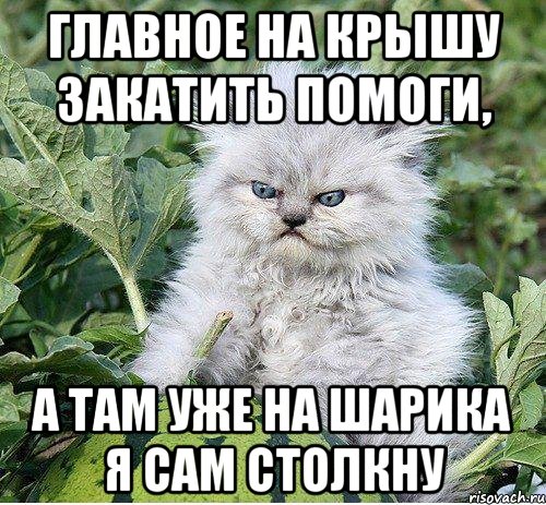 Главное на крышу закатить помоги, А там уже на Шарика я сам столкну