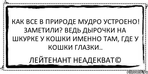 Как все в природе мудро устроено! Заметили? Ведь дырочки на шкурке у кошки именно там, где у кошки глазки.. Лейтенант Неадекват©, Комикс Асоциальная антиреклама