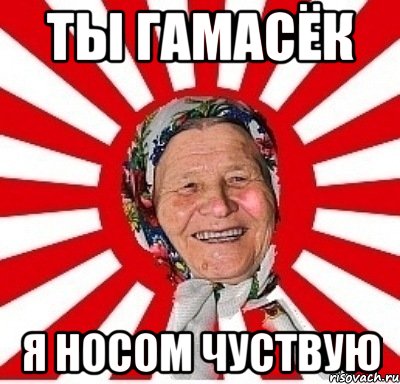 ТЫ ГАМАСЁК Я НОСОМ ЧУСТВУЮ, Мем  бабуля